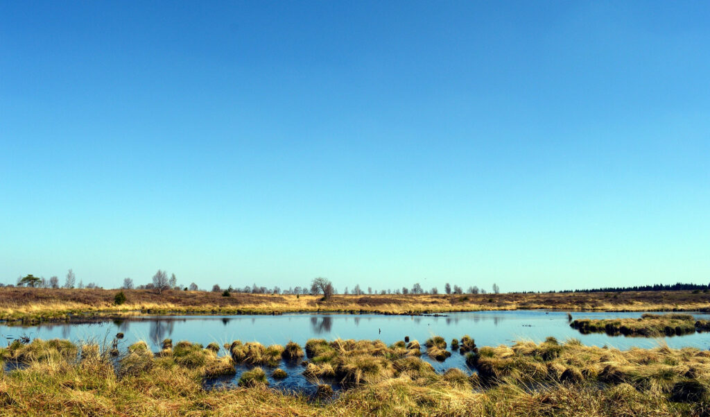 Torfmoor Moor, in dem Torf entsteht.
